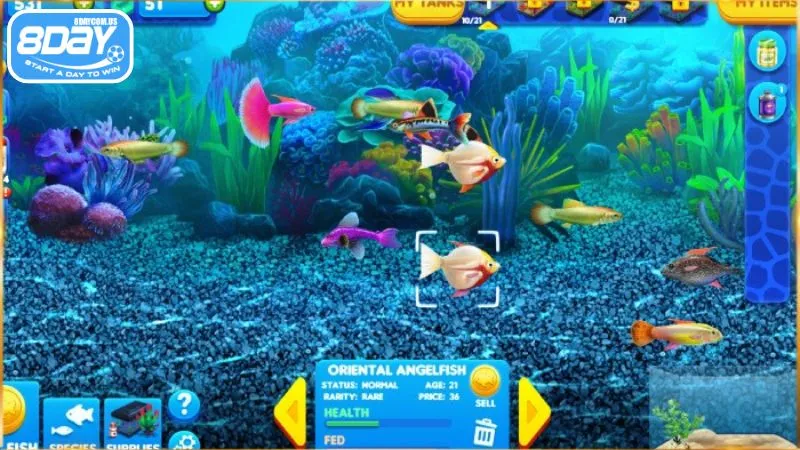 Siêu Cá Thủ - Game bắn cá đỉnh cao, săn boss rinh quà khủng 3 Game Siêu Cá Thủ có hệ số thưởng cực hấp dẫn