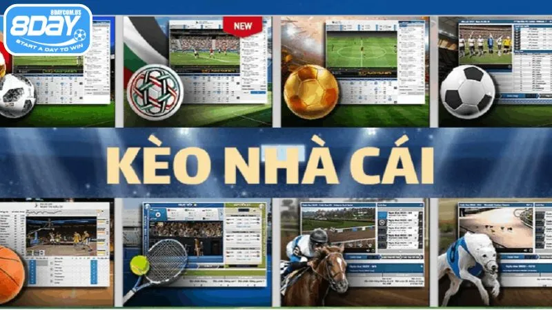 Kèo nhà cái 8Day - Cập nhật kèo cược liên tục, thưởng hấp dẫn 2 Kèo nhà cái tại 8Day cung cấp nhiều thông tin hữu ích